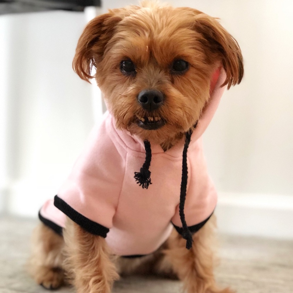 Meet your Posher, Emily